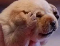 在天津坐地铁,在天津坐地铁需要身份证么