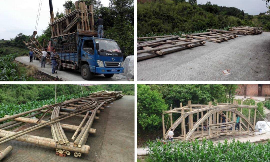 竹子的优点有哪些,竹子很有营养吗