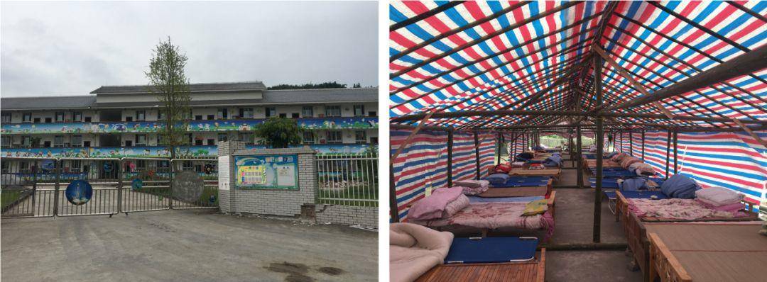 竹子的优点有哪些,竹子很有营养吗