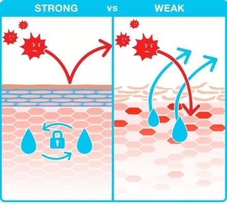 油皮敏感肌适合什么面霜,油皮敏感肌面霜推荐