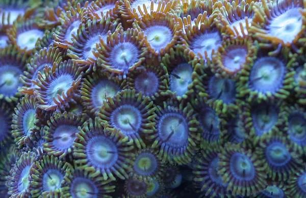 这是人家十年前的缸？我这些年瞎玩了……