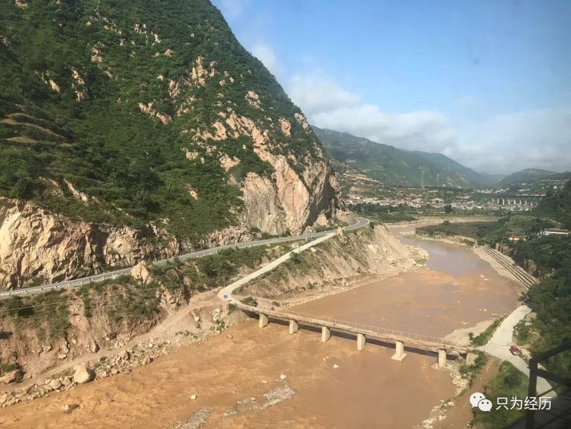 博格达雪莲,博格达天山雪莲