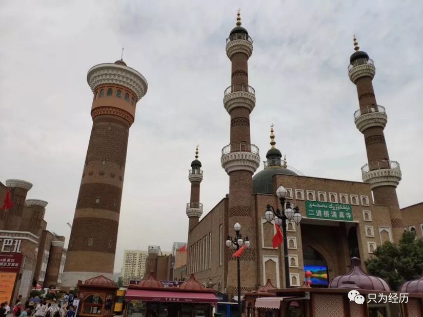 博格达雪莲,博格达天山雪莲