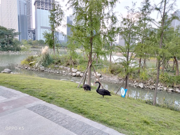 OPPOK5开箱上手:6400万超清四摄+30W闪充赛博金属意外好看