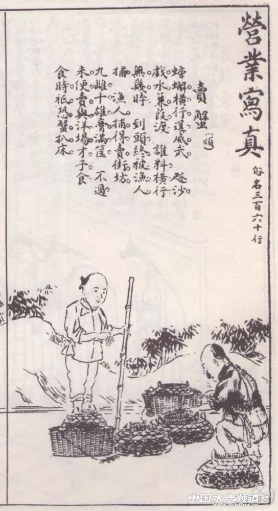 冷知识阳澄湖的蟹为什么叫大闸蟹,阳澄湖大闸蟹为什么叫大闸蟹