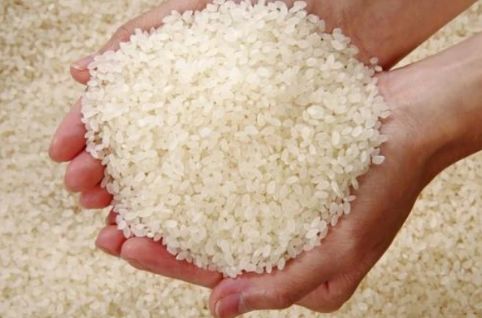 米放着长虫子了怎么办,米放久了有虫子到处飞怎么处理