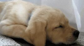 一只耳朵发烫什么原因,耳朵热是怎么回事是有人想你吗