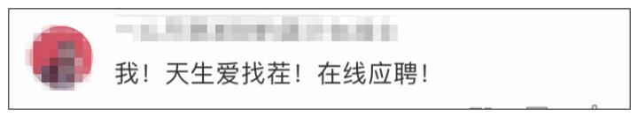 不用坐班，凭本事“找茬”！支付宝招兼职程序员，单次最高奖励36万