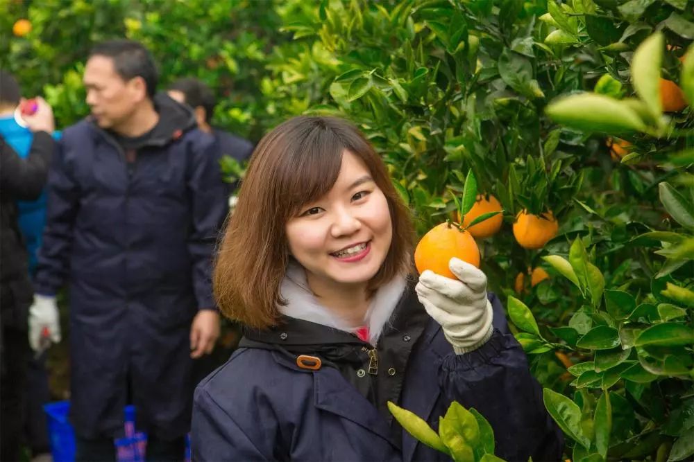 重庆乡村振兴大赛,重庆乡村振兴创业大赛