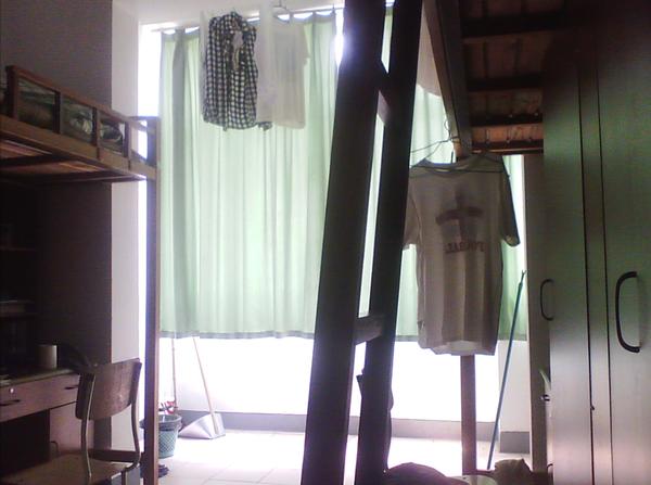 在宁波生活是怎样的体验,在宁波读书的真实感受