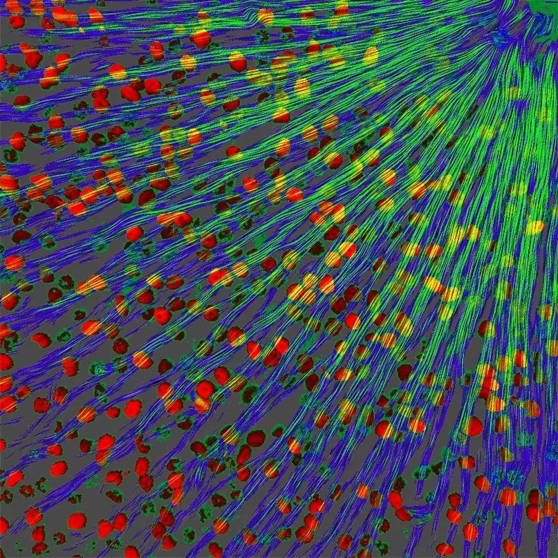 小小世界冠军,小小世界摄影奖