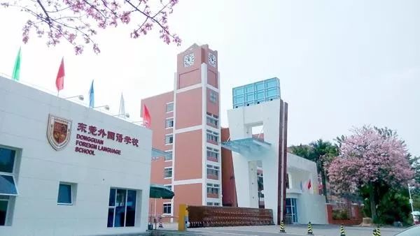 东莞学校被通报,盘点东莞最牛学校
