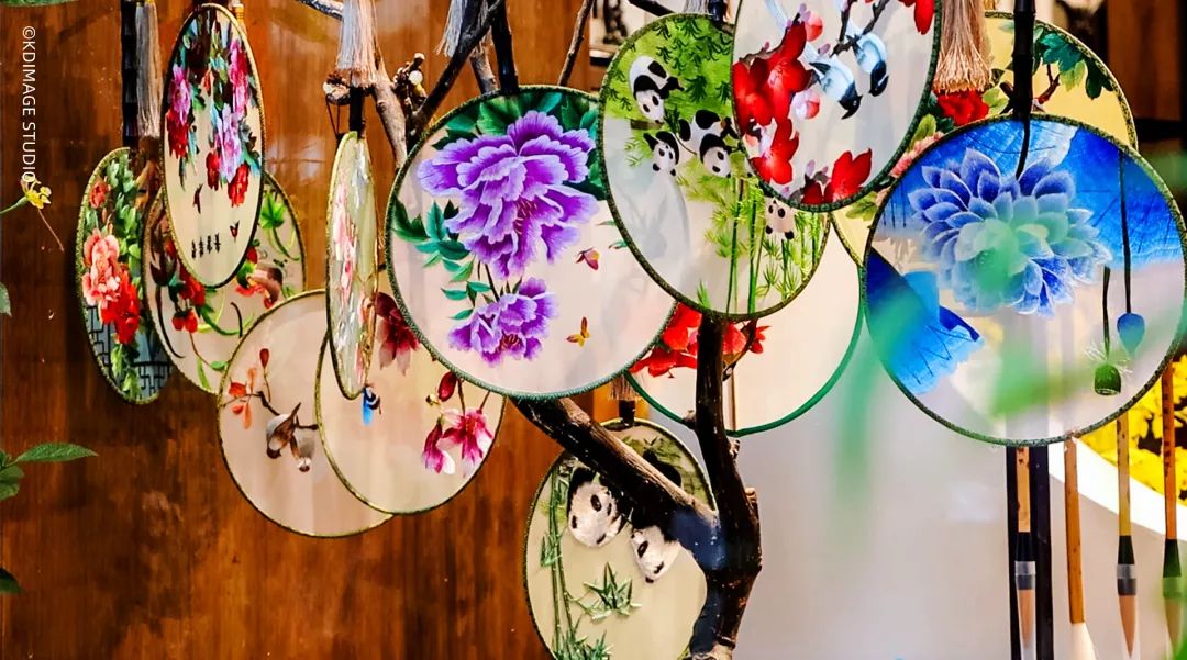 vlog单反入门级相机推荐,初学vlog适合用什么样的相机