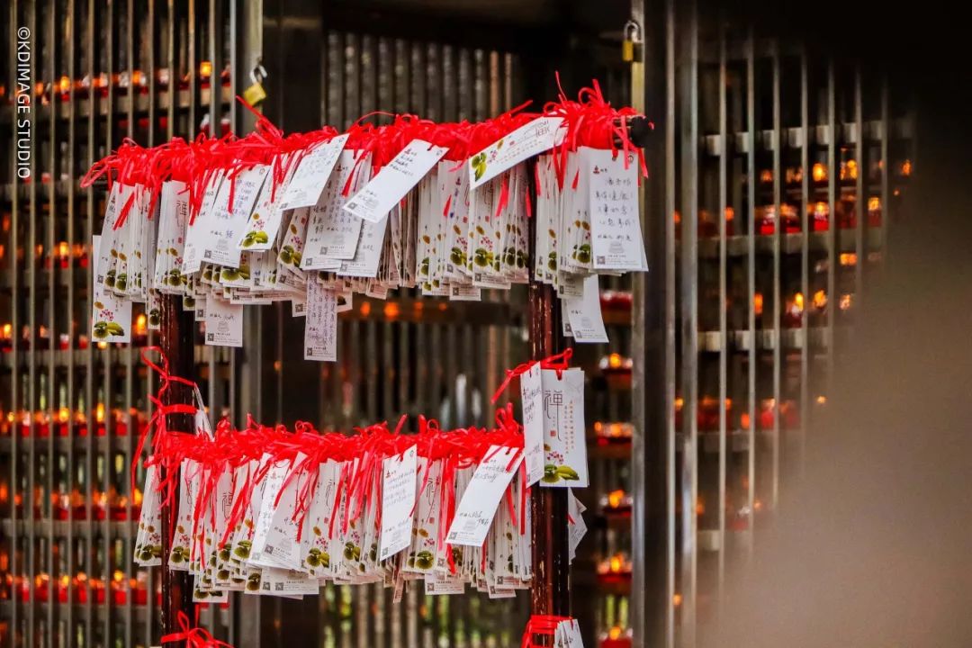 vlog单反入门级相机推荐,初学vlog适合用什么样的相机