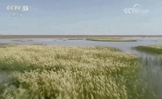 济南各热源厂供暖片区 (济南十四五供热发展规划)