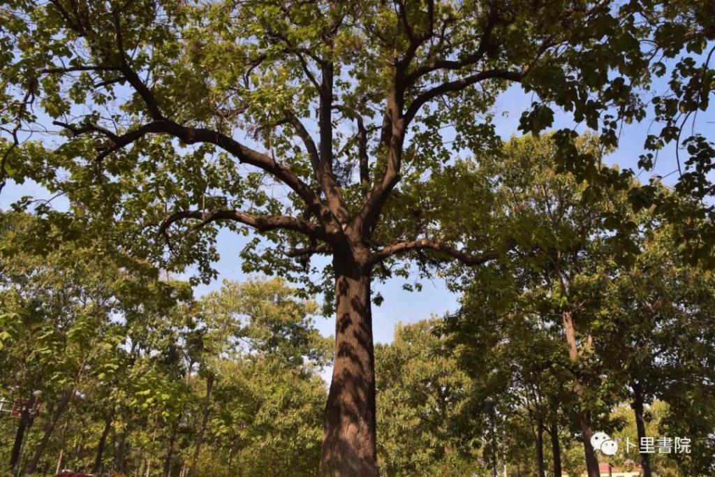 西部书界学员高级研修班第14天——“不忘初心牢记使命”主题教育参观考察