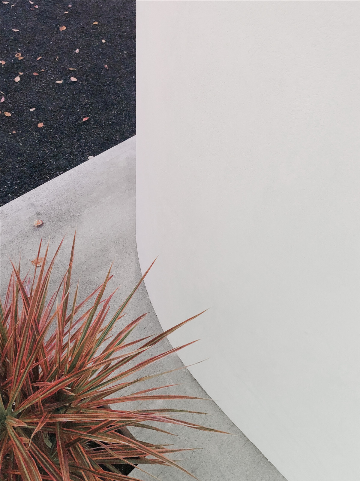 朴居设计研究室丨时间的形状-WEASPE门窗展厅设计