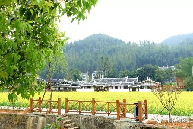 下个月，这场赛事将在永安举行！吃住行攻略附上