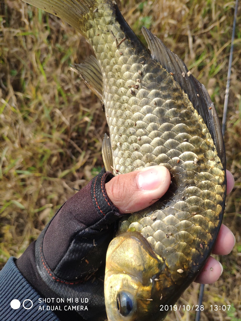 和钓友吃吃喝喝好不好,野钓与钓友