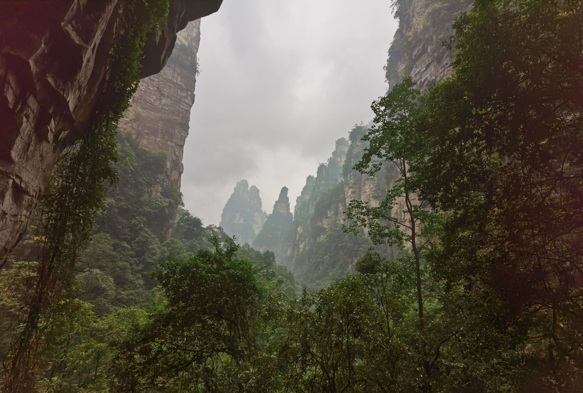 huaweimate30pro摄像头更换,huaweimate30pro后置摄像头不聚焦