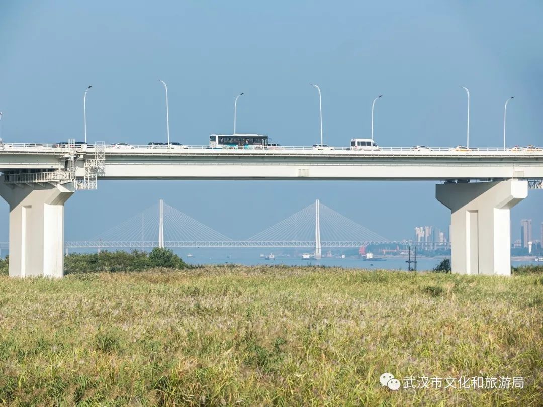 所有女生！江滩“上新”了秋游好去处