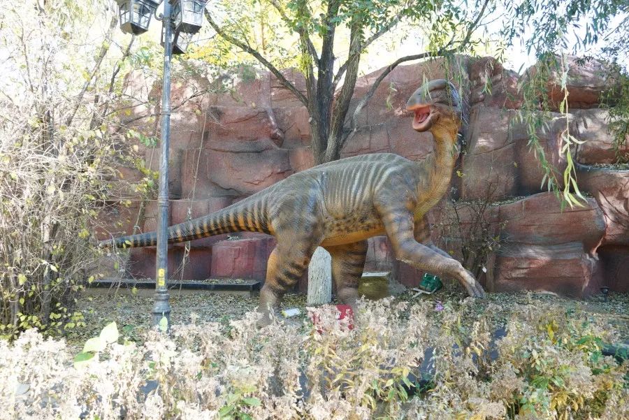 郎平探班中国女排视频,辽宁华君女排