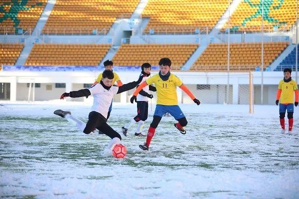 十四冬比赛在哪里看回放,十四冬比赛在哪进行