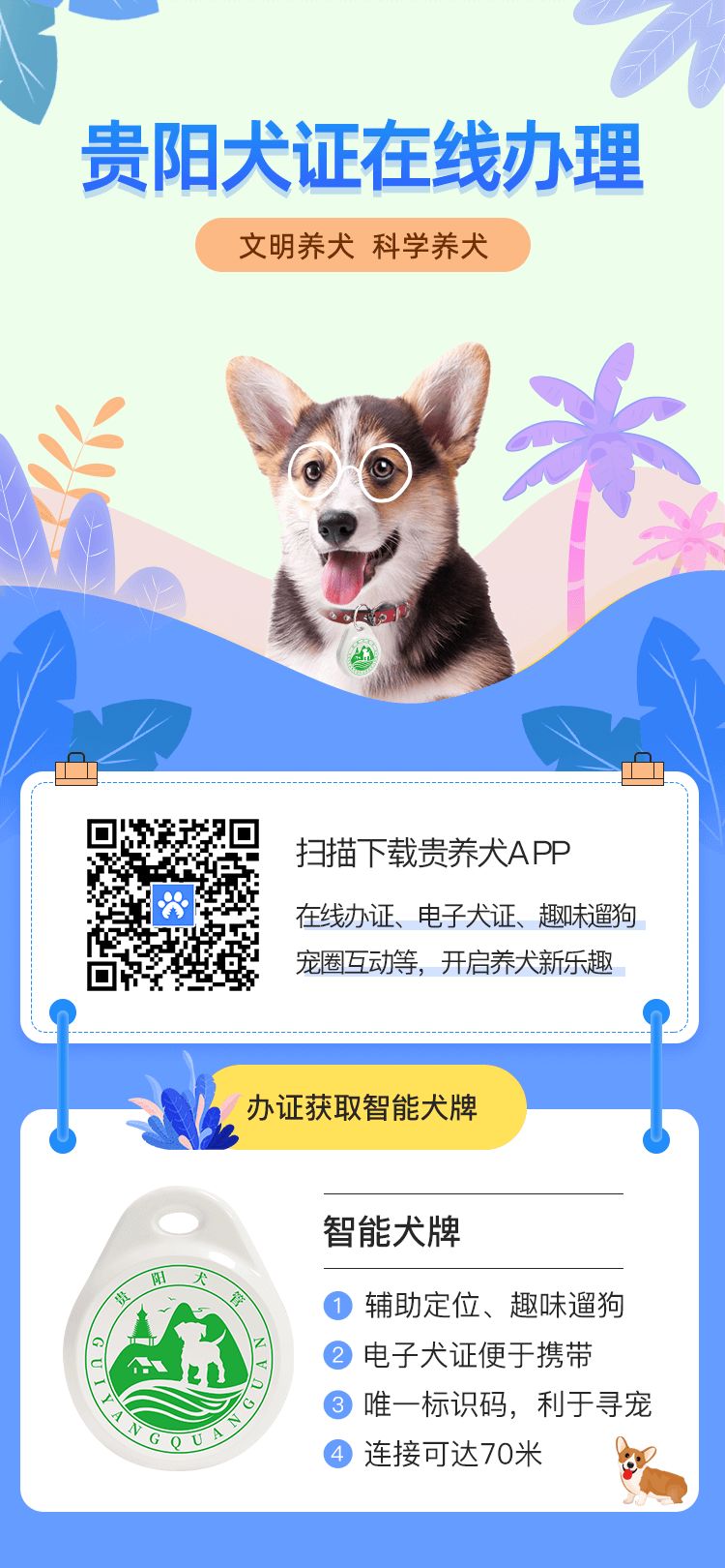 贵阳给狗狗办身份证,老狗办理电子犬证