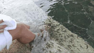 湛江避寒旅游名单,湛江冬季旅游酒店