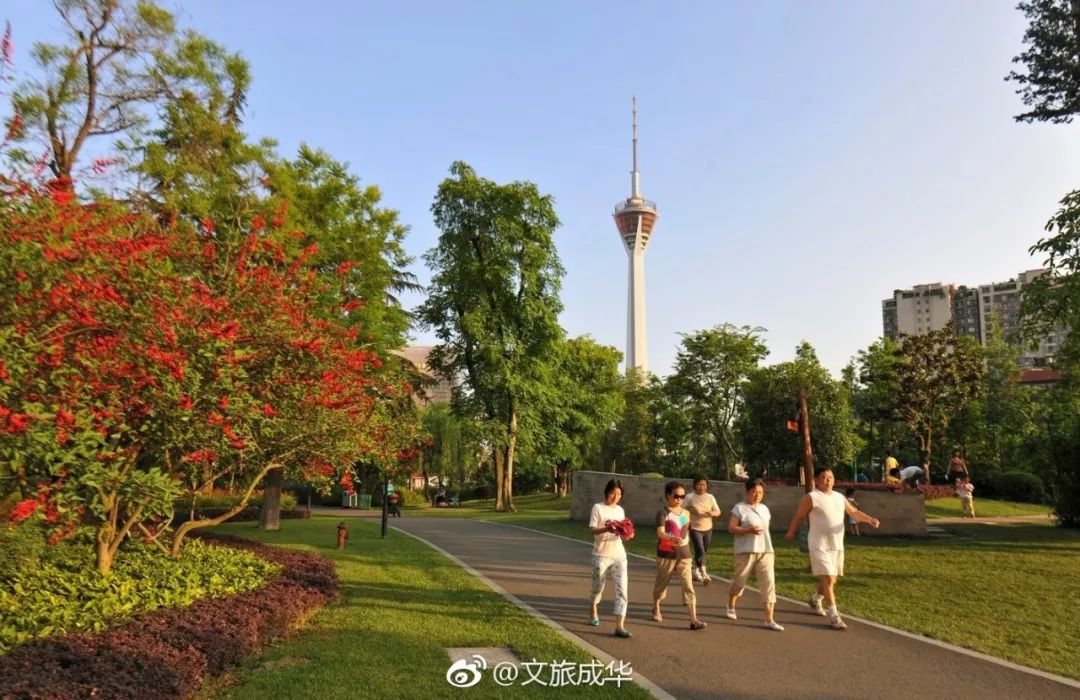 成都339最新消息今天,成都339还能上去吗