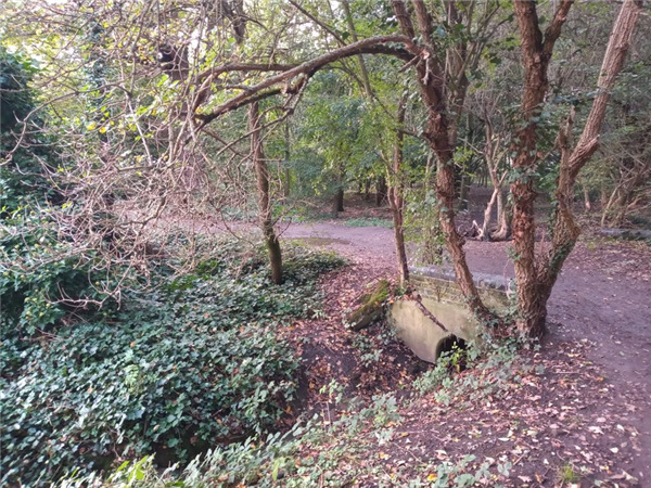 摩托罗拉e6plus,摩托罗拉e6手机质量怎么样