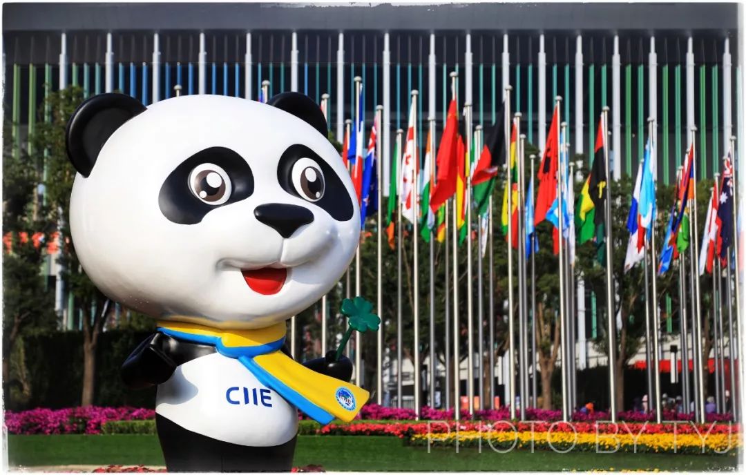 进博会多少家药企参加 (跨国药企在进博会)