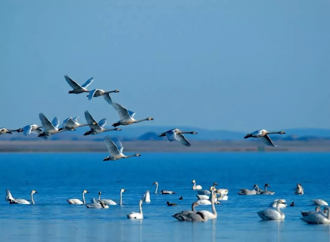 隐藏在CHI（赤）FENG（峰）里的秘密，你发现了吗？