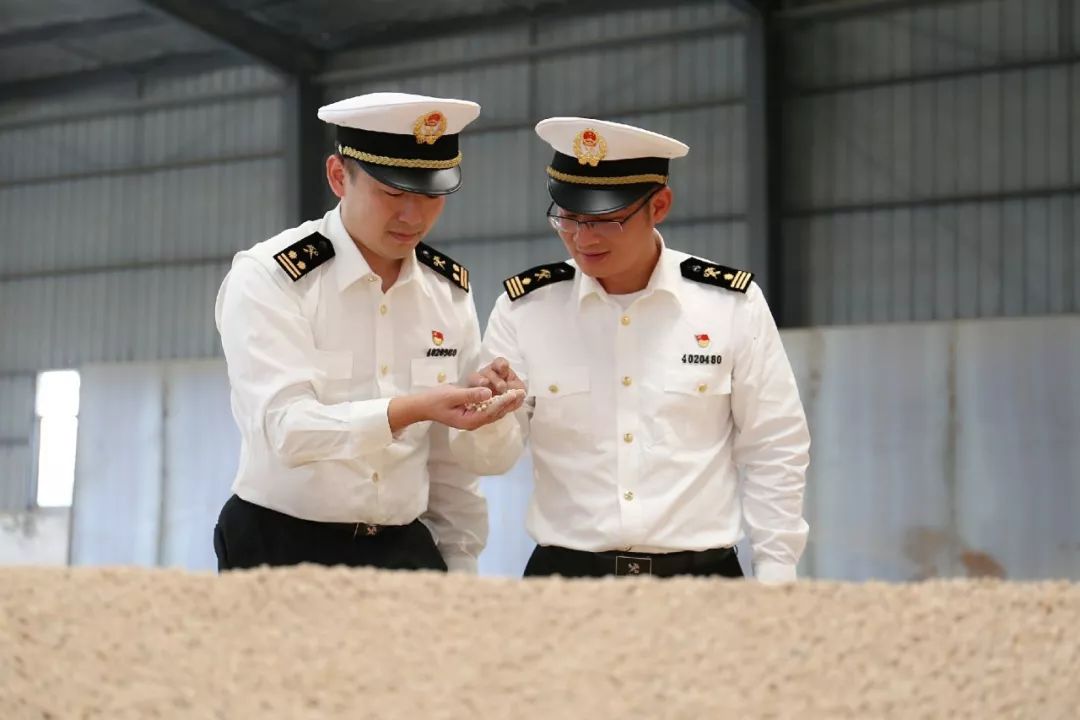 守正创新开拓进取,强本固基守正创新