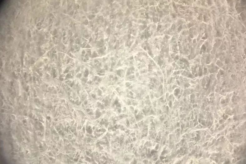 双11什么商品真正优惠,双11到底有哪些优惠