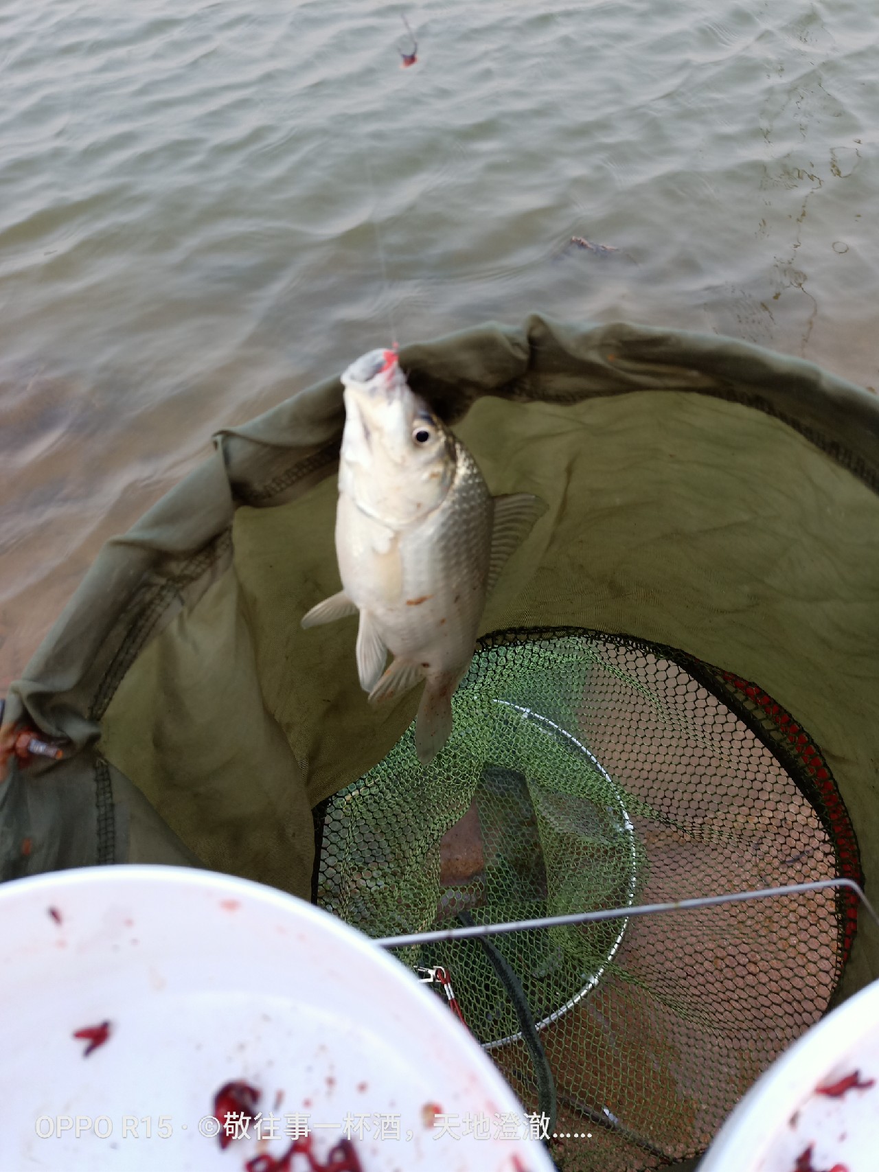 征服喝酒唱歌老三样,征服老三样片段