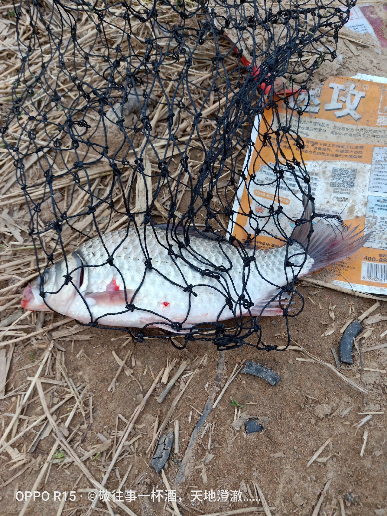 征服喝酒唱歌老三样,征服老三样片段