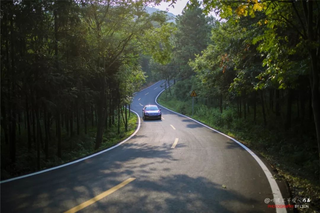 天呐!被南京这些路圈粉!