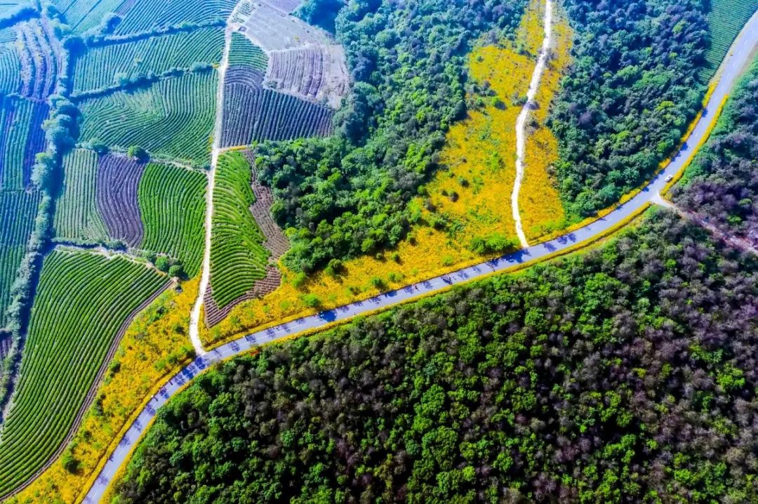 天呐！被南京这些路圈粉！