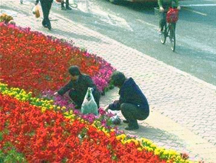 一夜薅走700万的羊毛*党**们