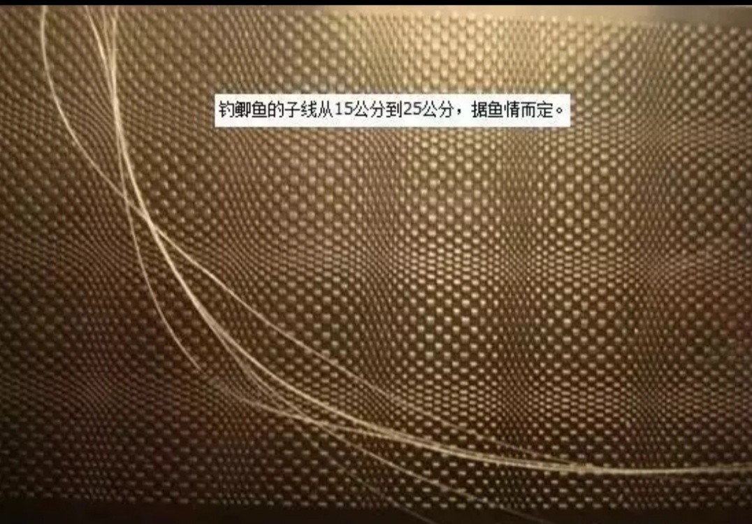 绑子线怎么做到线不乱跑,绑子线防缠绕的最佳方法