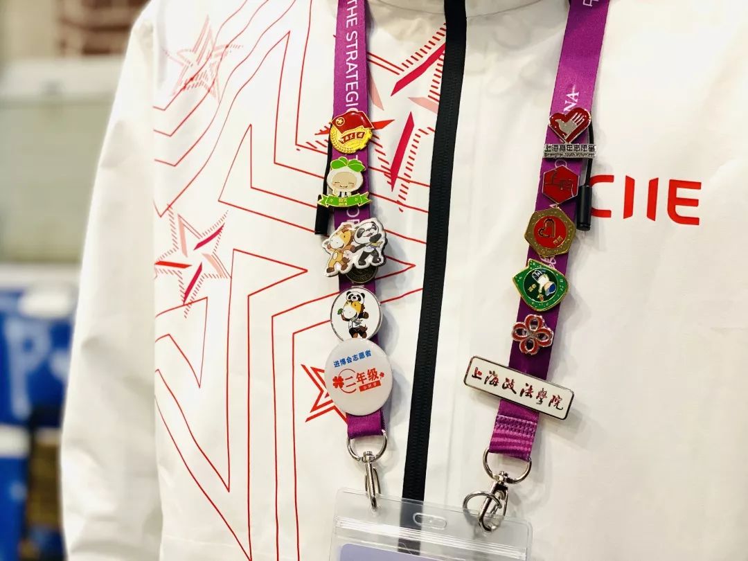 进博会小叶子徽章,进博会小叶子完整视频