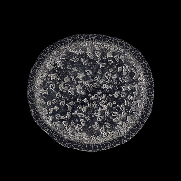 显微镜下的各种眼泪,显微镜下的眼泪原版