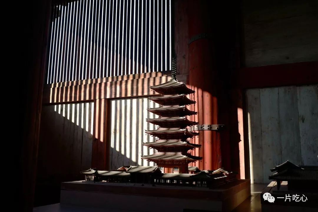 奈良的小鹿,奈良的小鹿最近新消息