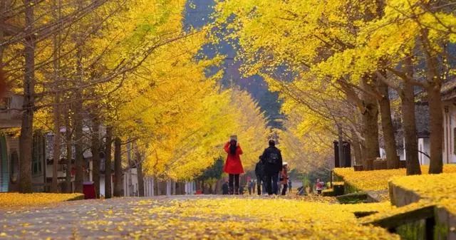 对不起，这个秋天我要去韶关南雄