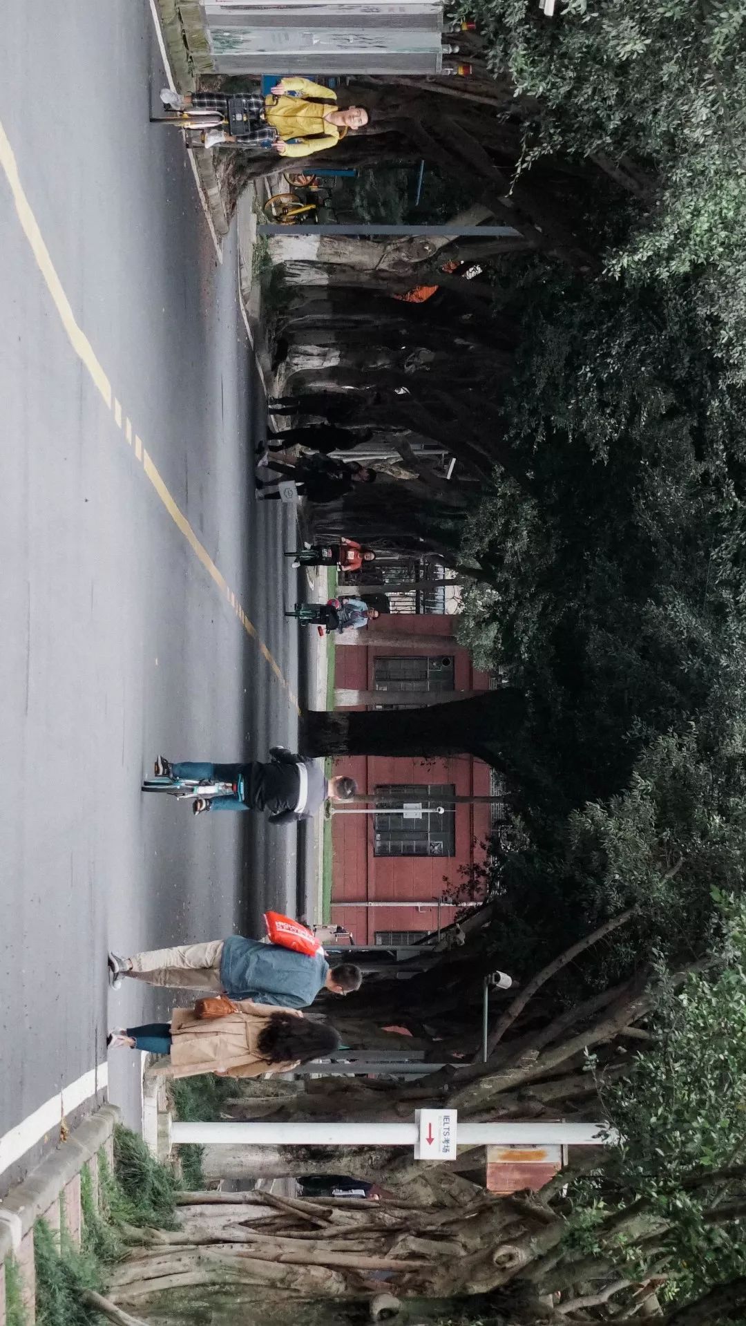 川大望江介绍,川大望江校区