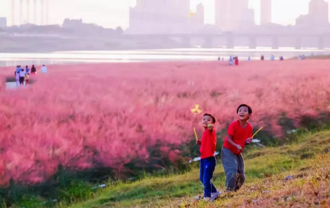 佛山三水青少年足球训练基地,三水芦苞温泉足球训练