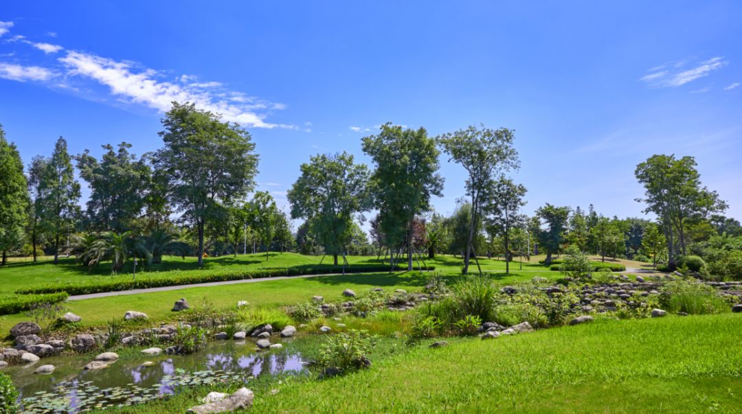 成都天府新区颜值最美楼盘,天府中央商务区楼盘