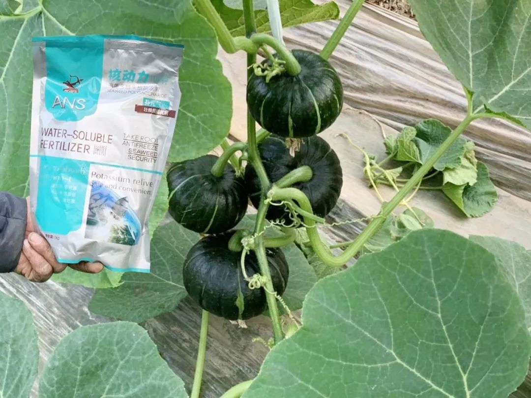 核动力能提供多大动力,核动力能一直提供能量吗