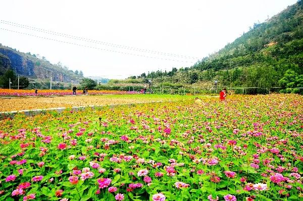 重庆各区县美丽乡村数量,重庆周边有哪些美丽乡村